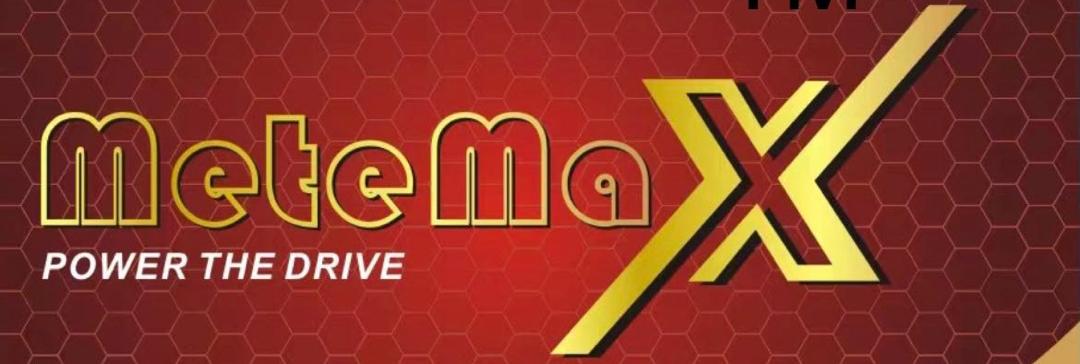 Metemax Logo